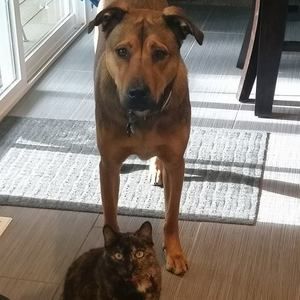 Meet your Posher, Corinna